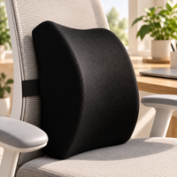 Memory Foam Lumbar Support Cushion