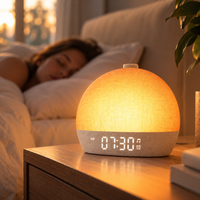 Sunrise Alarm Clock White Noise