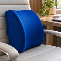 Memory Foam Lumbar Support Cushion