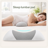 Memory Foam Lumbar Support Pillow