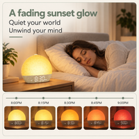 Sunrise Alarm Clock White Noise