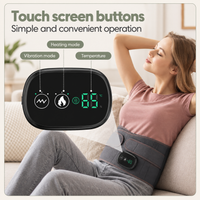 Heated Lower Back Massage Brace