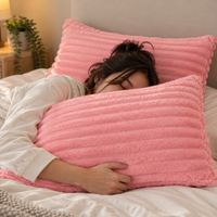 2x Ultra Soft Luxury Pillowcase Set