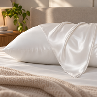 2 Pack Silk Pillowcase for Hair and Skin